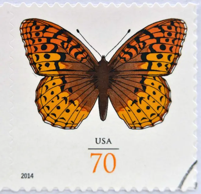 USPS Butterfly Stamp